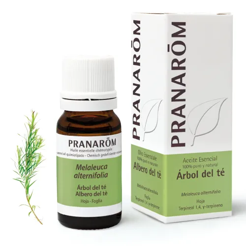 Pranarom Aceite Esencial de Árbol del Té 10ml Pranarom Aceite Esencial de Árbol del Té 10ml