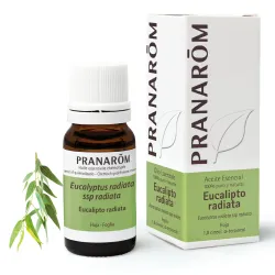 Pranarom Aceite Esencial de Eucalipto Radiata 10ml