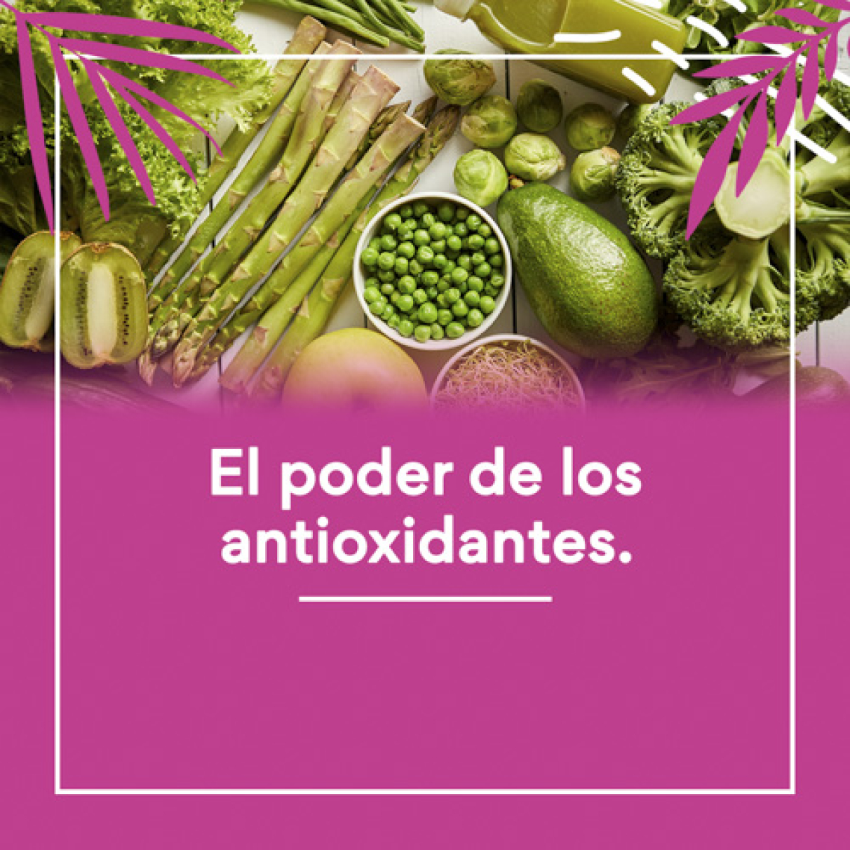 El poder de los antioxidantes