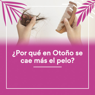 ¿Por qué en Otoño se cae más el pelo?